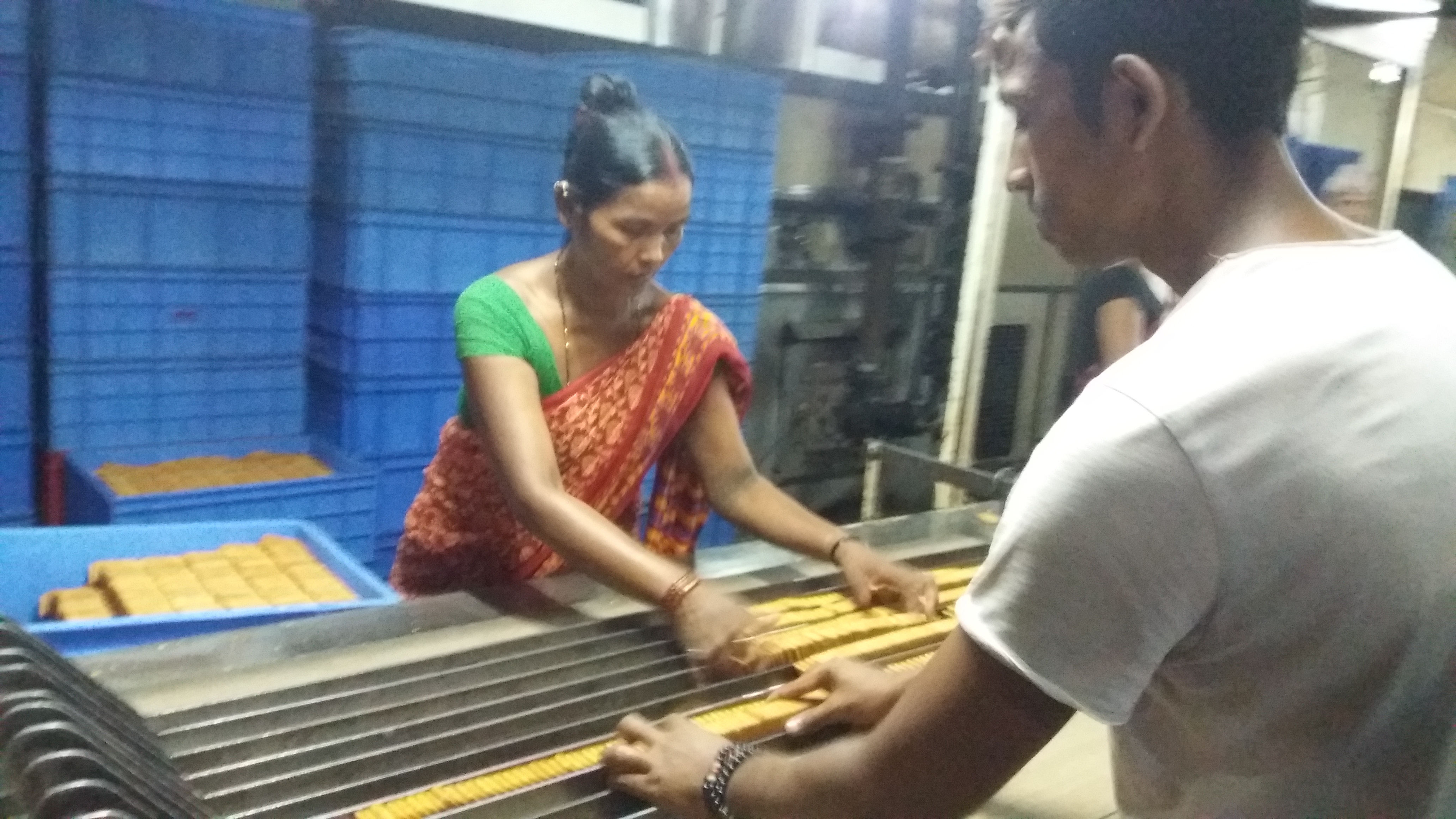 biscut udyog janugamn (2)