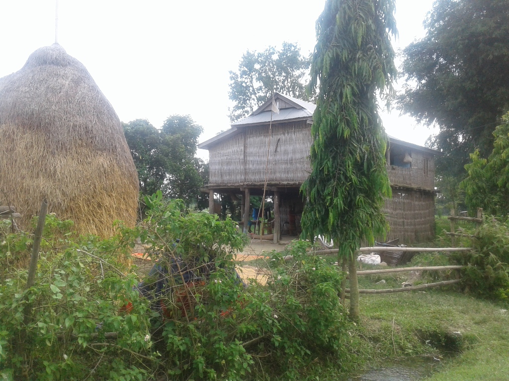 khorsane khap (5)