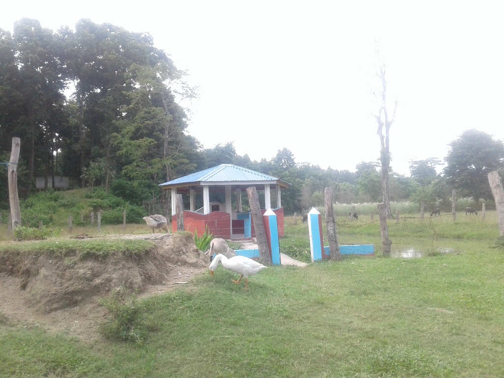 khorsane khap (7)