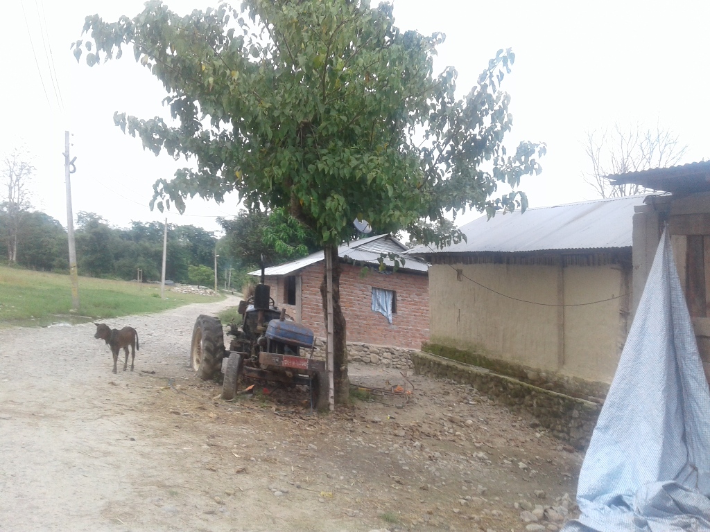khorsane khap (8)