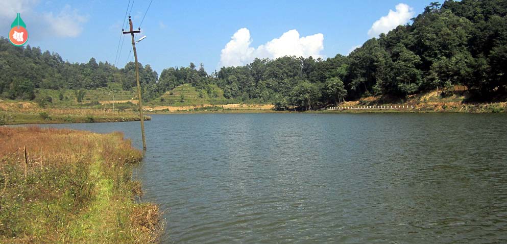 rajarani lake. pradeshportal