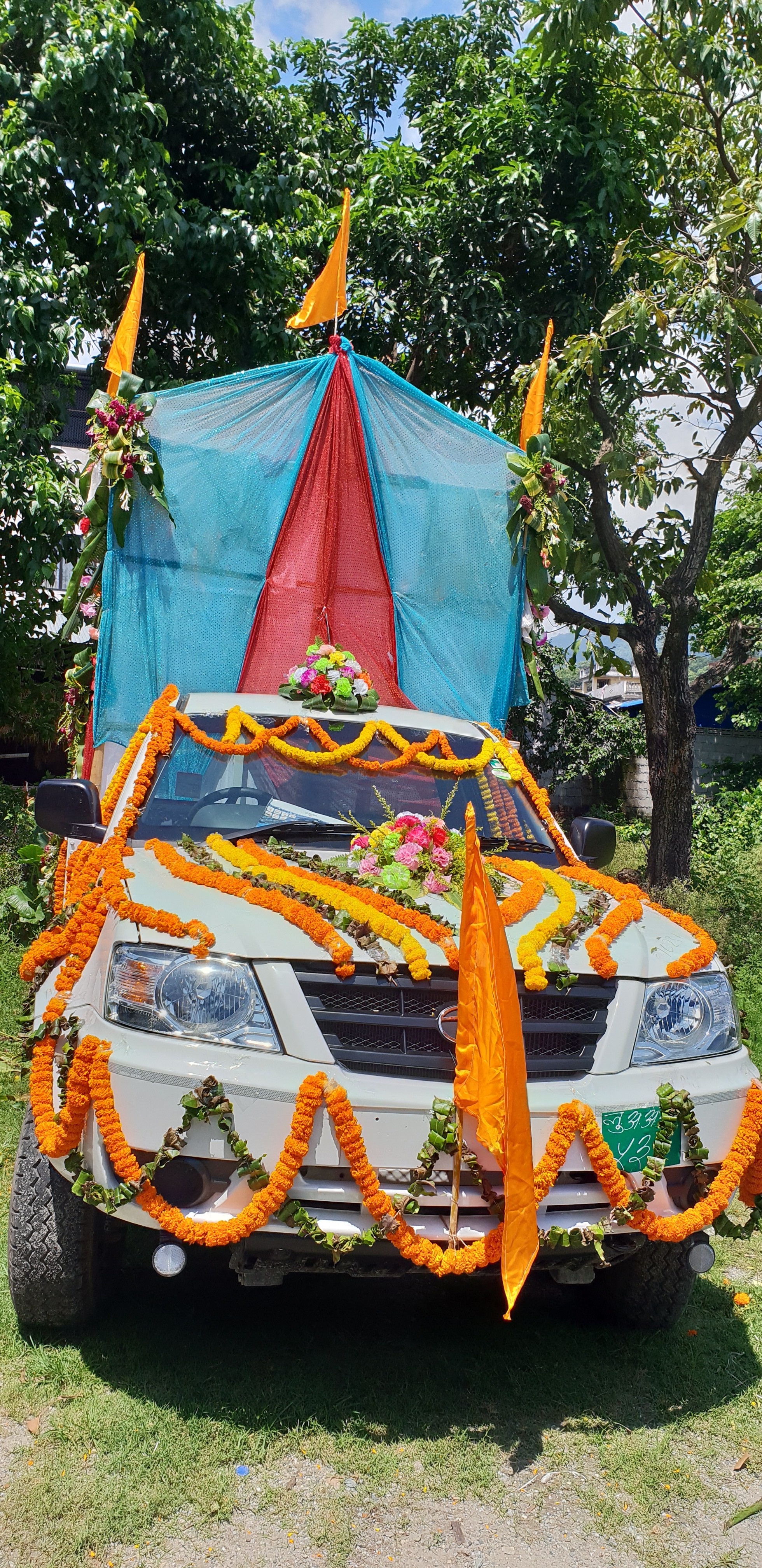 rath yatra drn (1)