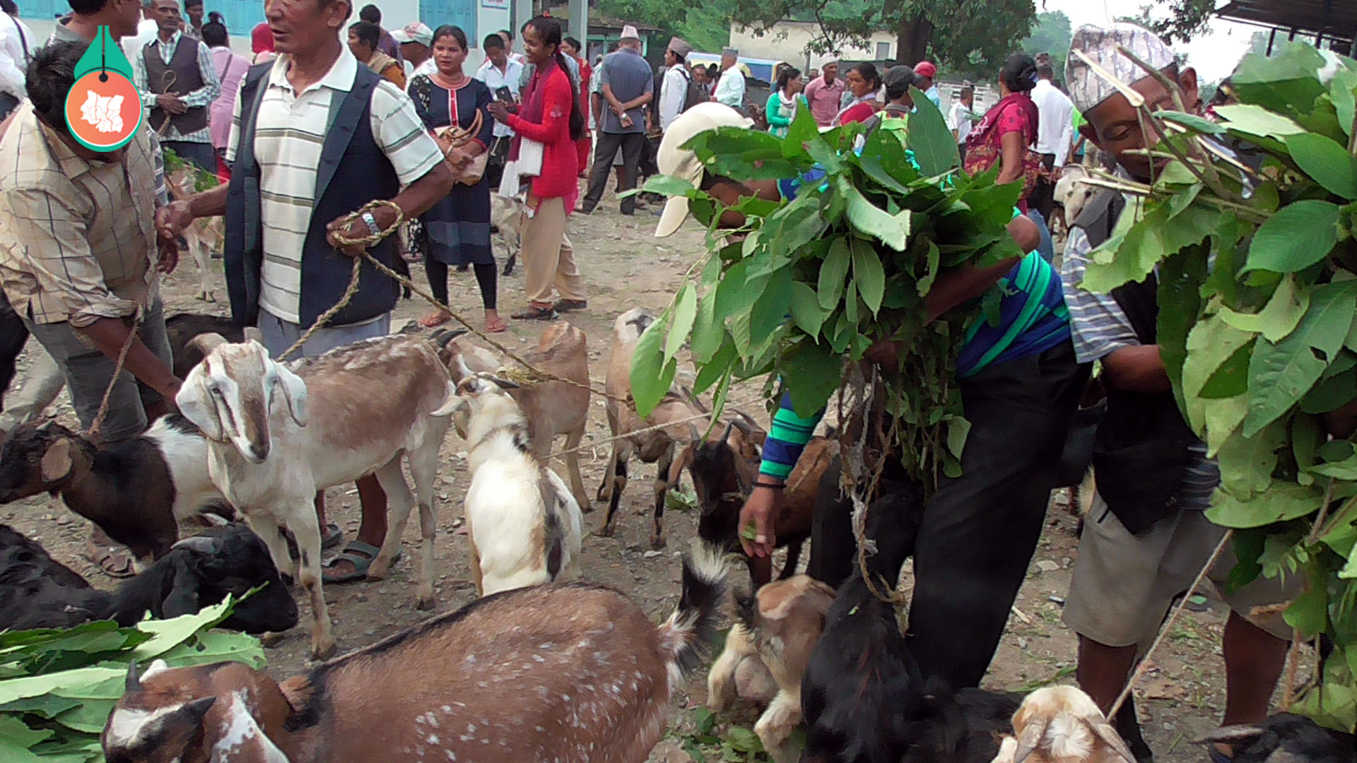 khasi boka  (3) copy