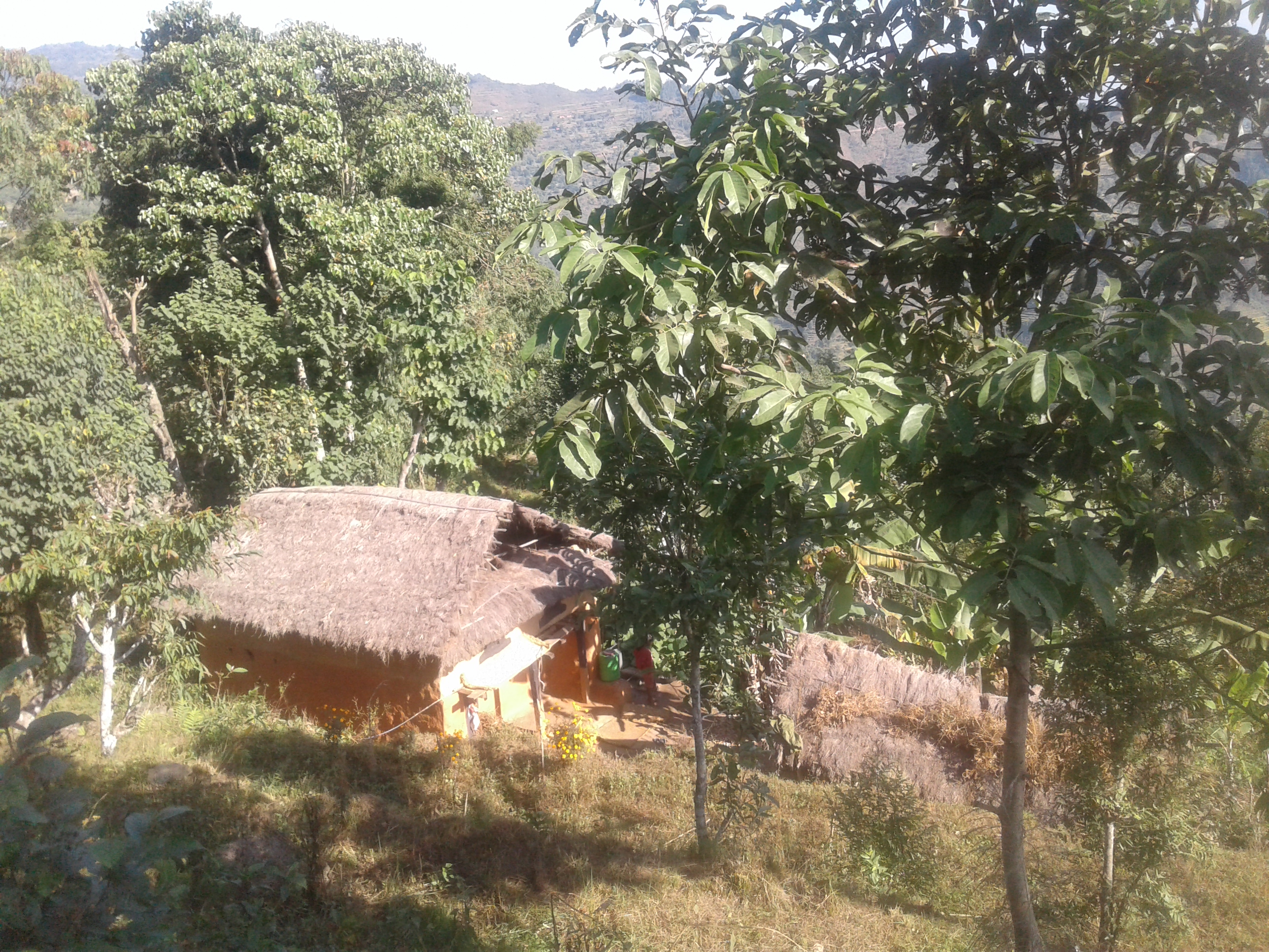 bhojpur maulik ghar (2)