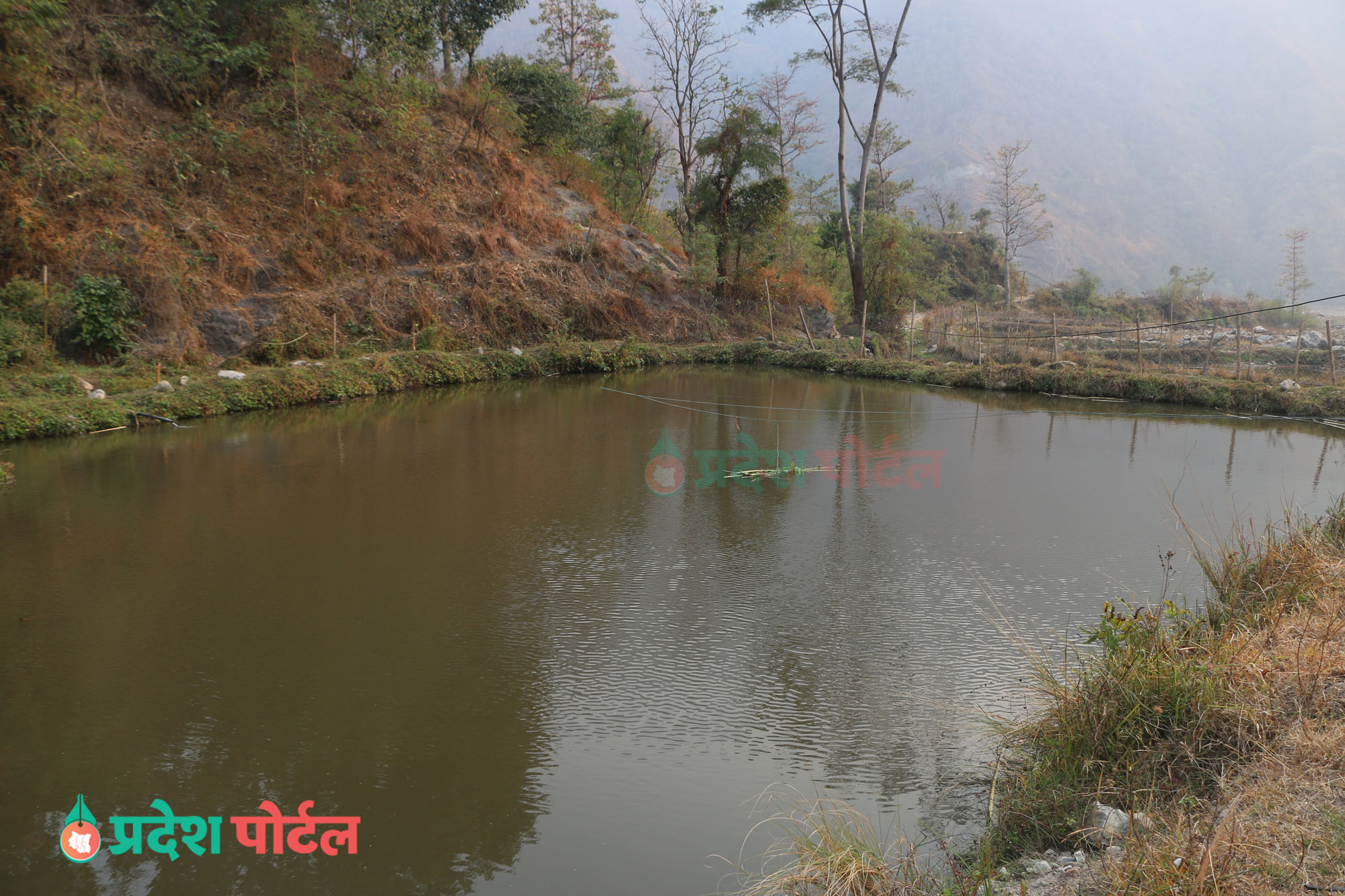 machha pokhari  (1)