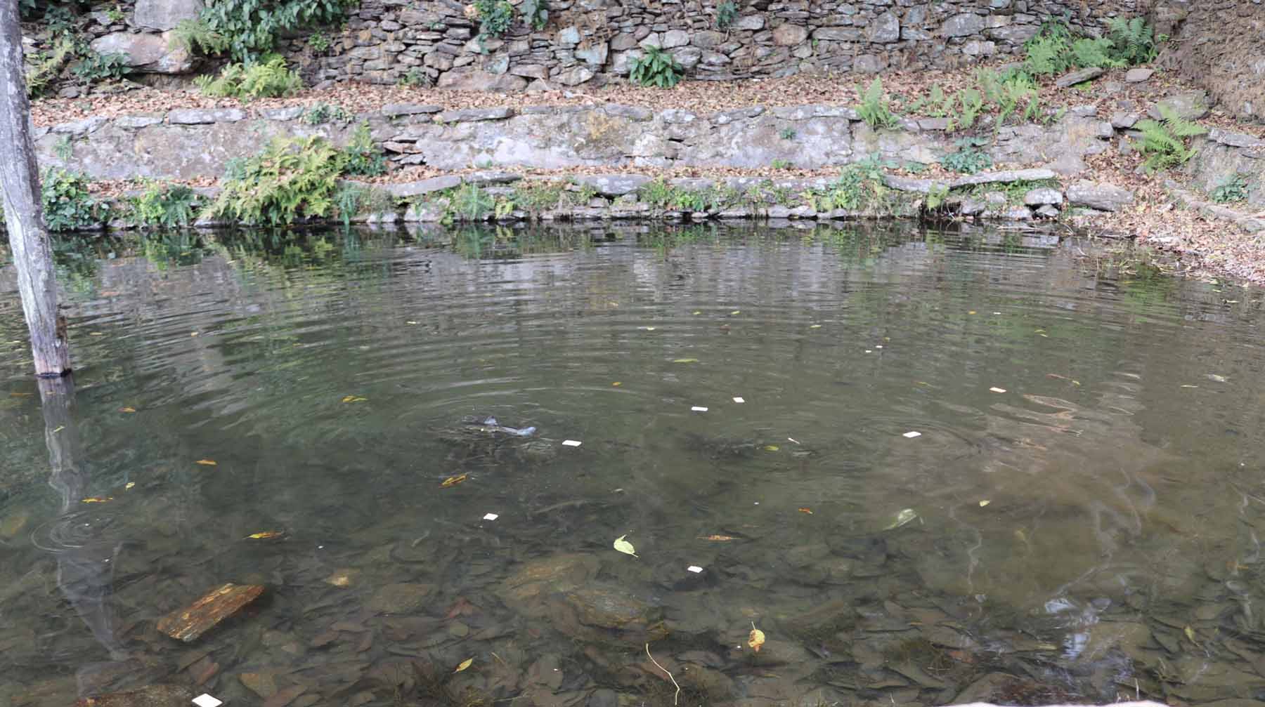 panch dhare pokhari tyamke bhojpur