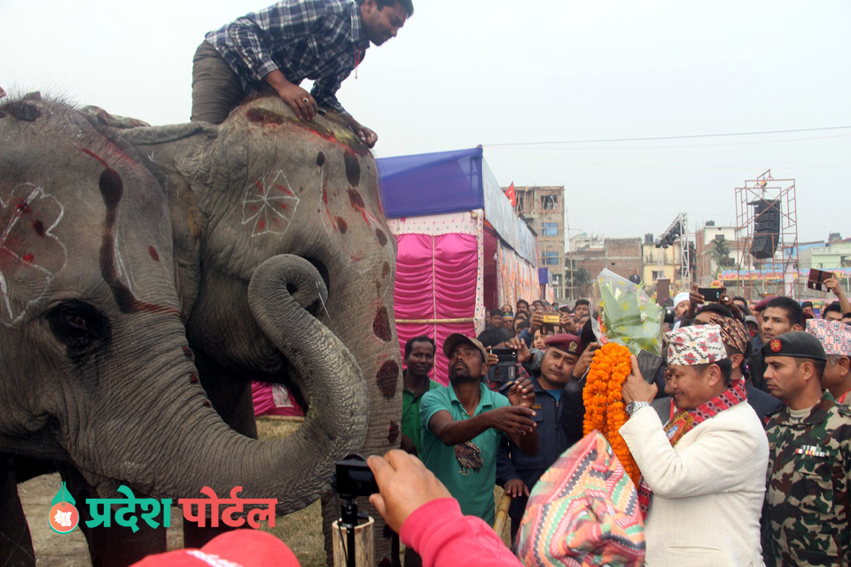 hatti 2 itahari food festival pradeshportal.com