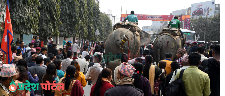 hatti 3 pradeshportal.com itahari food festival