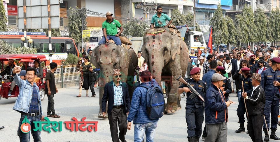 hatti itahari food festival pradeshportal.com