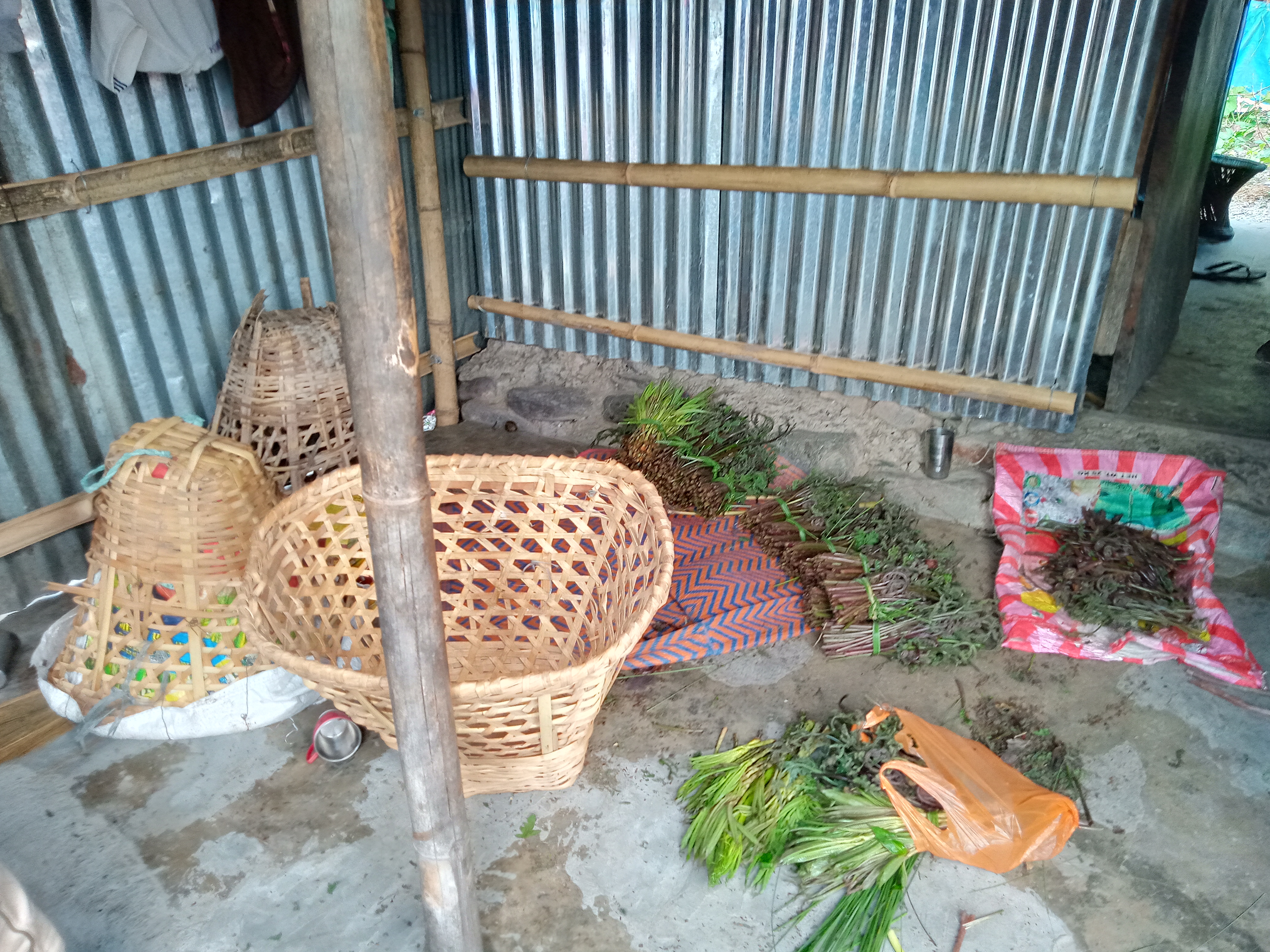 IMG20210603164314 (1)