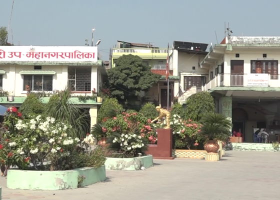 इटहरी उपमहानगरको बजेट निर्माणमा मेयर हावी ,उपमेयरले तयार गरिन् १ अर्ब ३५ करोडको बजेट