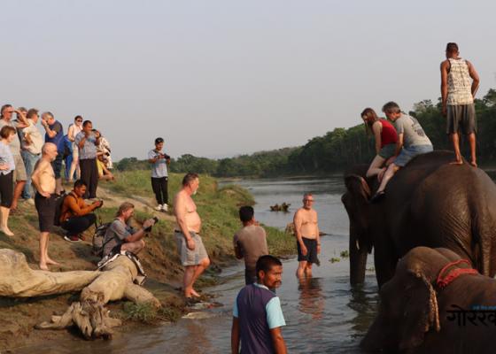 पर्यटकको रोजाइ बन्दै पटिहानी