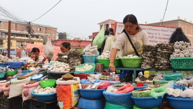 जडीबुटी बिक्रीबाटै मनग्गे आम्दानी