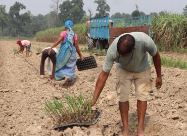 Farmers using technology to boost income