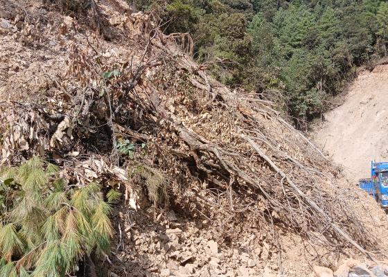 काभ्रेमा बाढीपहिरोबाट करिब १३ हजार रुख क्षति