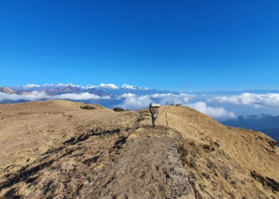 एक लाख पर्यटक भित्र्याउने गरी मुन्दुम भ्रमण बर्ष २०२५ को तयारी