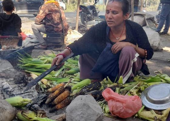 राजमार्ग छेउमा मकै पोलेरै जीविका