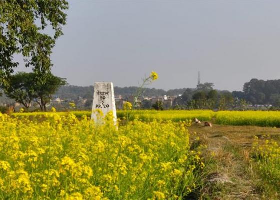 झापामा भारतसँग सीमा जोडिए दशगजा वारिपारि पहेँलपुर तोरीबारी