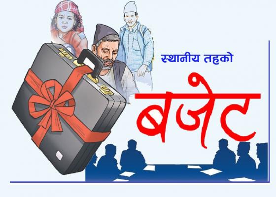 ताप्लेजुङका ९ वटा स्थानीय तहको बजेट चार अर्ब बढी