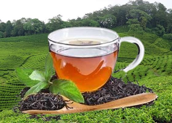 चिया निर्यात ४० प्रतिशतले बढ्यो
