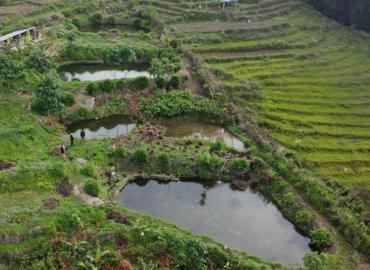 Foreign returnee initiates fish farming utilizing skills gained abroad