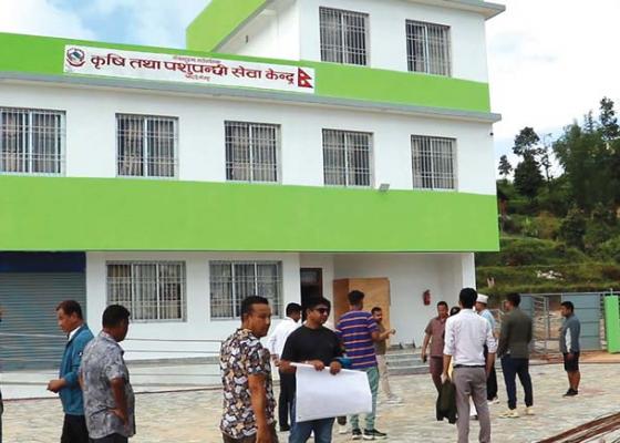 धनकुटा महालक्ष्मीका बाँझो जमिन अनुदानले हराभरा