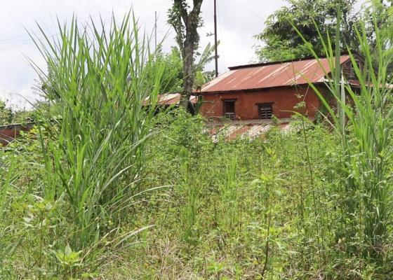 जमिन बाँझो नराख्न धादिङको ज्वालामुखी गाउँपालिकाको आग्रह