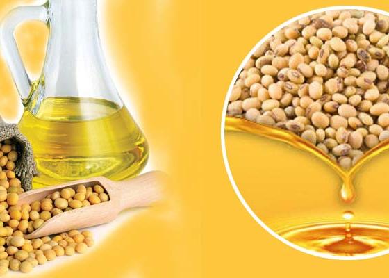 भटमासले बढायो नेपालको आयातनिर्यात भटमासले बढायो नेपालको आयातनिर्यात