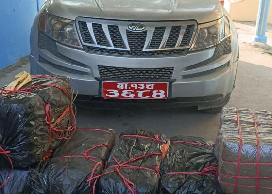 धरानमा रोकिएन गाँजा तस्करी