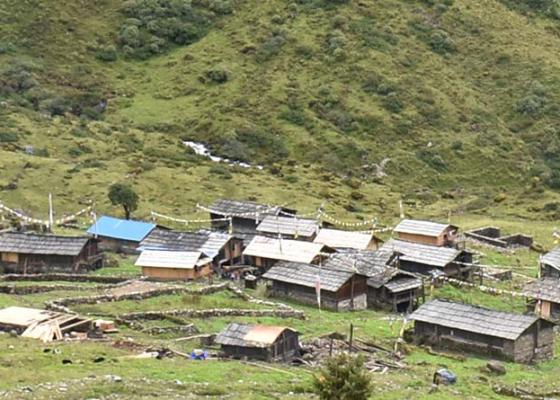 जाडो बढेसँगै ताप्लेजुङका हिमाली बस्ती सुनसान