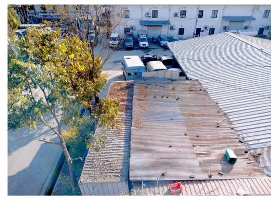 मतपत्र छाप्न २५ करोडमा किनेको मेसिन पाँच वर्षदेखि बेवारिसे