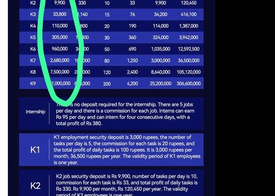 मोबाइल एपमार्फत २५५ युवाको १२ करोड ठगी