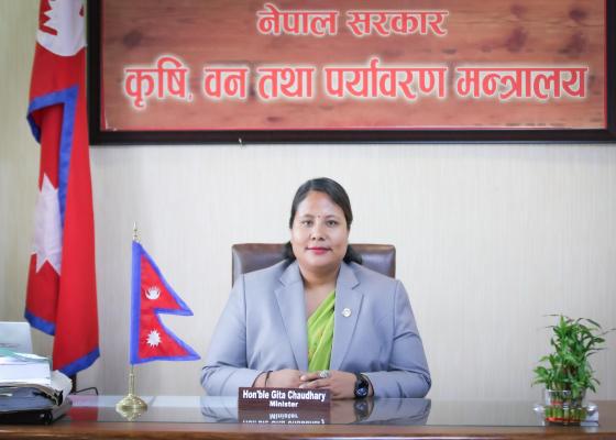 न्यूनतम समर्थन मूल्य निर्धारणमा कृषि मन्त्री चौधरीको प्रगतिः गहुँ, चैते धान र वर्षे धानको मूल्य तय, निर्देशिका पनि जारी न्यूनतम समर्थन मूल्य निर्धारणमा कृषि मन्त्री चौधरीको प्रगतिः गहुँ, चैते धान र वर्षे धानको मूल्य तय, निर्देशिका पनि जारी
