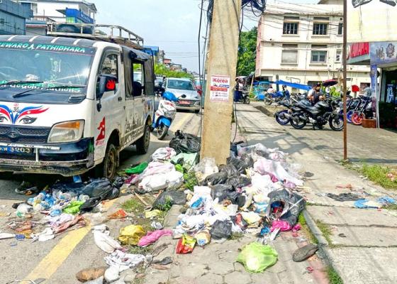 ल्यान्डफिल्ड साइटविहीन बिर्तामोडः एक महिनादेखि फोहोर नउठ्दा बजारमै डंगुर