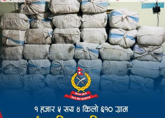 इलाममा फल्स बटम बनाएर लुकाइएको १ हजार ४ सय ६० किलोभन्दा बढी गाँजा बरामद, चालक फरार इलाममा फल्स बटम बनाएर लुकाइएको १ हजार ४ सय ६० किलोभन्दा बढी गाँजा बरामद, चालक फरार