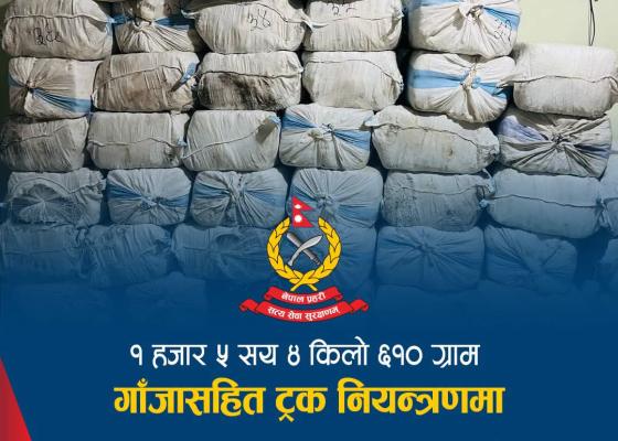 इलाममा फल्स बटम बनाएर लुकाइएको १ हजार ४ सय ६० किलोभन्दा बढी गाँजा बरामद, चालक फरार