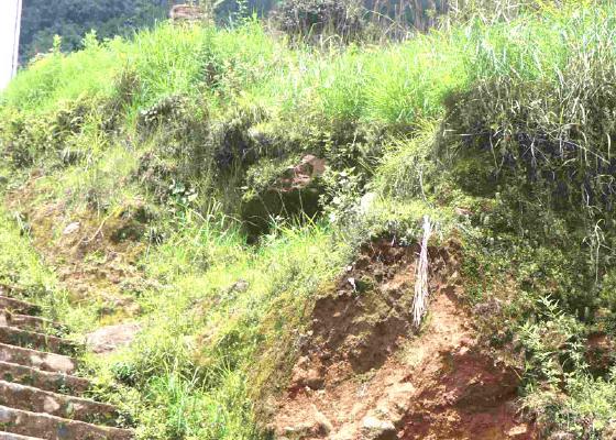 प्रकृति र संस्कृति जोड्न लालीगुराँस पदमार्ग परियोजना