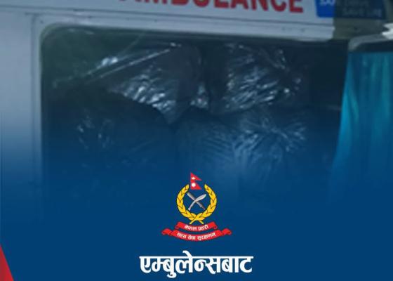 इटहरीको तरहराबाट एम्बुलेन्स सहित ४५० किलो गाँजा नियन्त्रणमा इटहरीको तरहराबाट एम्बुलेन्स सहित ४५० किलो गाँजा नियन्त्रणमा