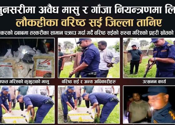 सुनसरीमा अवैध मासु र गाँजा नियन्त्रणमा लिने लौकहीका वरिष्ठ सई जिल्ला तानिए,तस्करको दबाबमा वरिष्ठ सईको सरुवा गरिएको प्रहरी स्रोतको दाबी