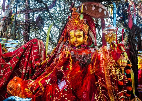 पाथीभराबाट तीन महिनामा ३३ लाख रुपैयाँ बढी सङ्कलन